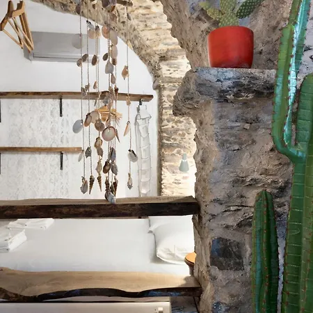 公寓 Cactus House