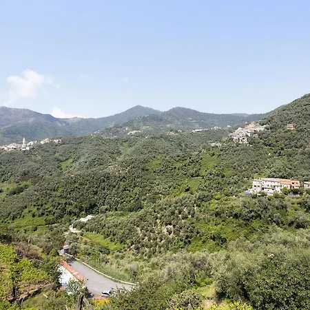 Cactus House 公寓 斯培西亚