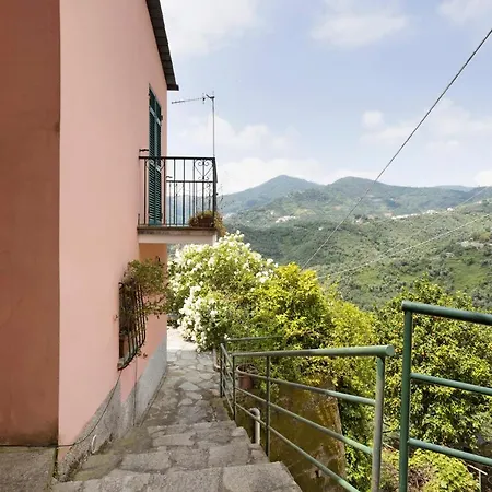 Cactus House 斯培西亚