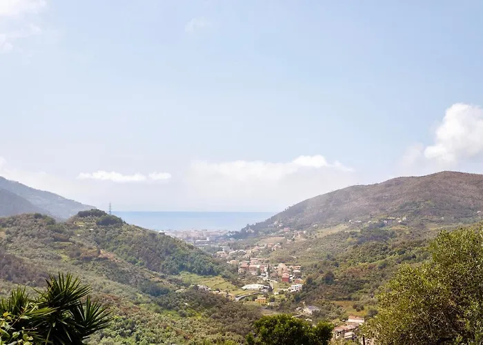 Апартаменты Cactus House