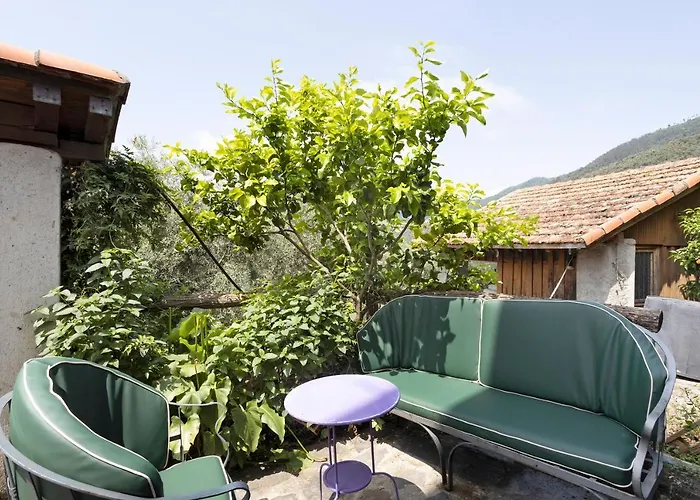 Cactus House Апартаменты