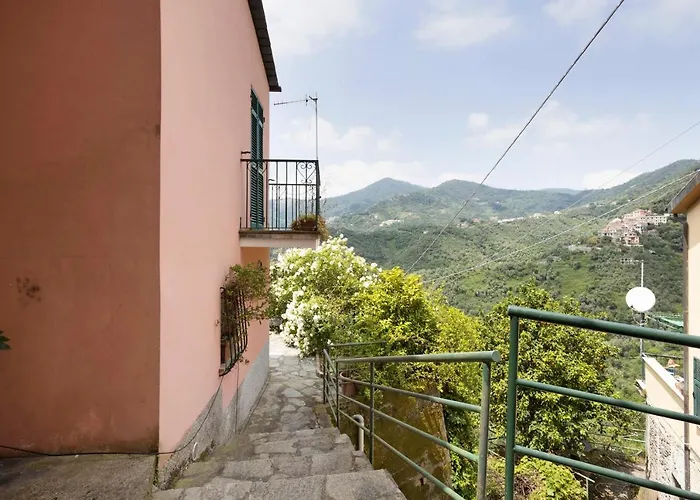 Cactus House Специя