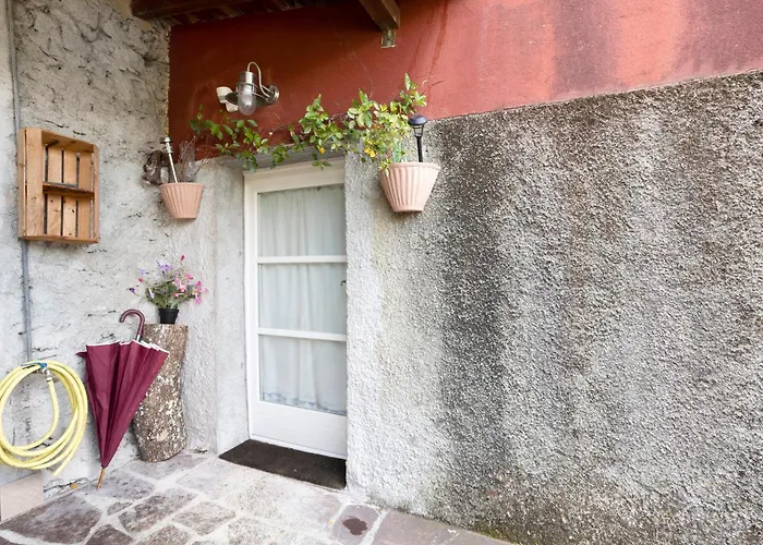 Cactus House Апартаменты